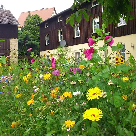 Ferienwohnung, Struppen, Cleaning Included Apartment
